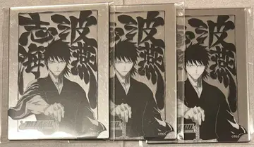 BLEACH 메탈릭 마그넷 시바 카이엔