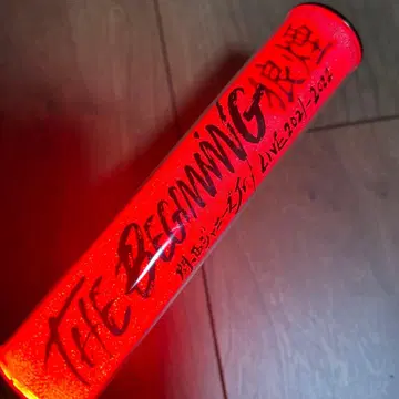 THE BEGINNING 응원봉 LIVE 2021-2022