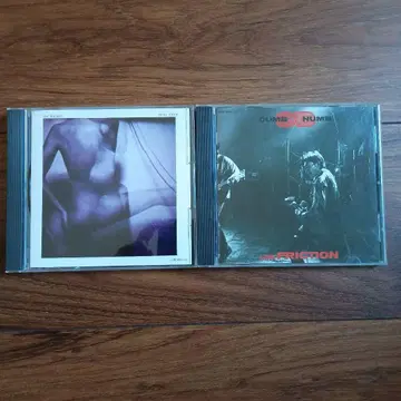 FRICTION/SKIN DEEP & DUMB NUMB 중고 CD 세트