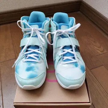 라이카 댄스 신발 22.5cm