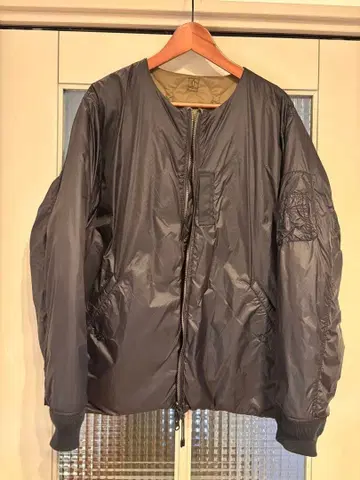 빔즈 이온 리버서블 다운