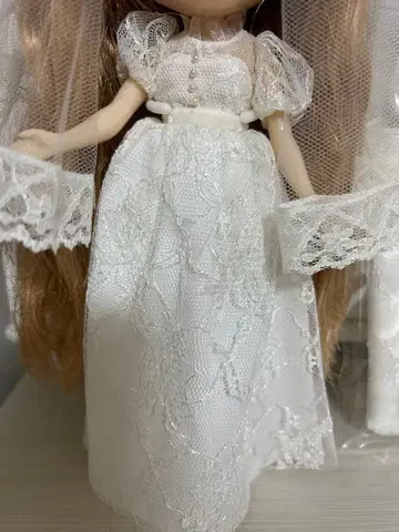 브라이스 사이즈 OF 웨딩 드레스 세트