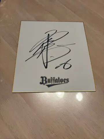 오릭스 버팔로즈 히라노 요시히사 친필 사인 색지