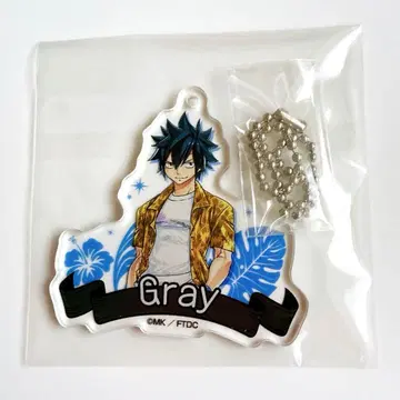 FAIRY TAIL 페어리 테일 그레이 바다의 집 아크릴 키링