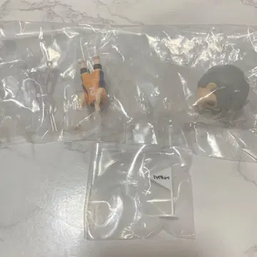 하이큐 넨도로이드 서프라이즈 2 스가와라