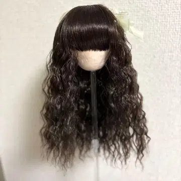 보크스 SDM 코디네이트 모델 Golden Window Fair 상품