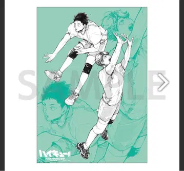 하이큐 센다이 관광 특사 오이카와 토오루 이와이즈미 하지메 포스터