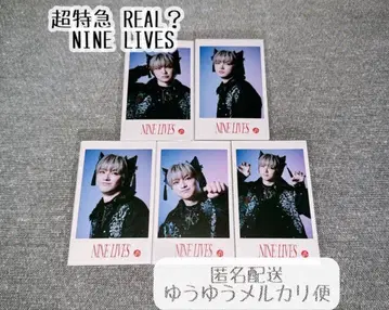 초특급 유키 미니 사진 NINE LIVES 컴프