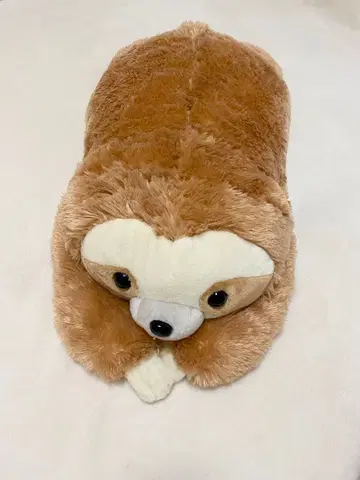 나무늘보 봉제 인형