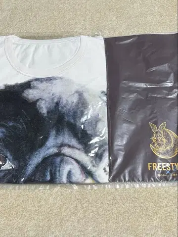 아라시 오노 사토시 FREESTYLE 티셔츠 런천매트