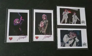 기사X KnightX 테루토쿤 사진 카세트 AGF 2025