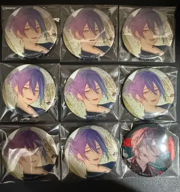 프로세카 글리터 캔뱃지 45A 46A 루이