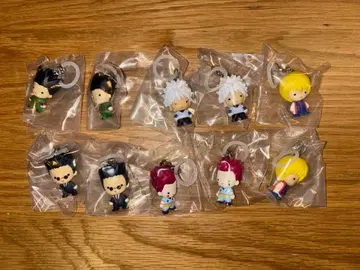 헌터헌터 메지루시 액세서리 컴프 세트 x2 (10개)