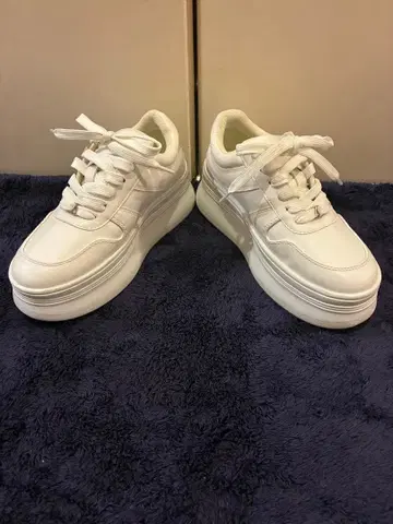 ANNE COQUINE 통굽 스니커즈 화이트 23 ZARA 플랫폼