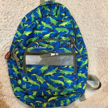 L.L.Bean 카모플라쥬 냅색