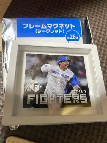 야마가타 히데 프레임 마그넷