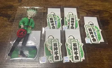 Dr.STONE 이시가미 센쿠