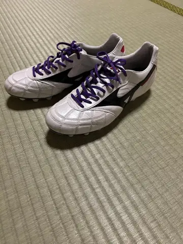 모렐리아 2 JAPAN 크로스 스티치