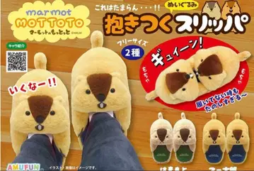 마모트의 더 마모트 안고 자는 봉제 인형 슬리퍼 2종 하마모토 아타로