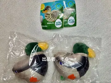 오리와 청둥오리 봉제 인형 청둥오리(수컷) 2세트