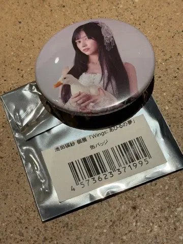 이케다 에레나 개인전 Wings 오리의 꿈 캔뱃지 노기자카5