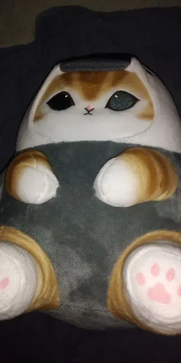 고양이 디자인 복슬복슬 봉제 인형 빅 모후난토카의 봉제 인형입니다