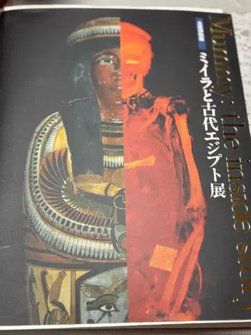 Mummy: The Inside Story 미라와 고대 이집트전