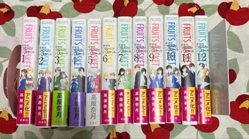 후르츠 바스켓 애장판 전권 세트