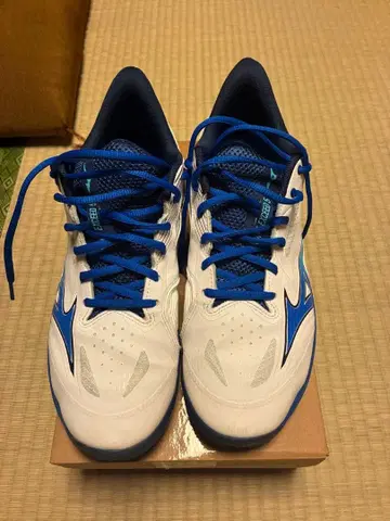 Mizuno WAVE EXCEED 5 OC 27.0cm