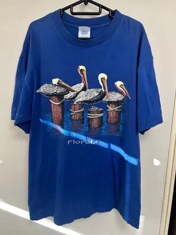 Florida 펠리컨 셔츠