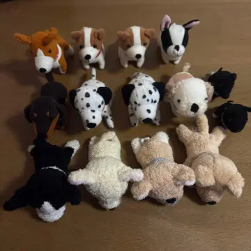 오늘의 강아지 14개 봉제 인형 세트