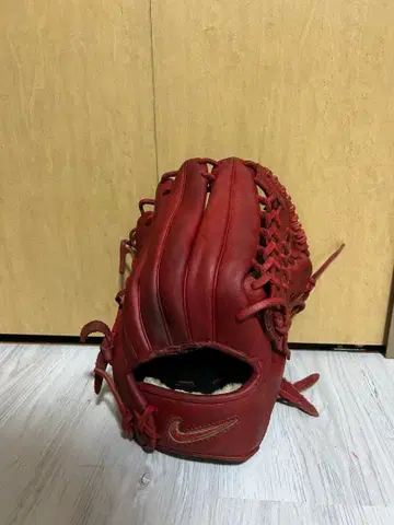 NIKE 외야용 그로브 케이스 포함