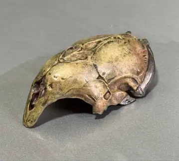 피아랄 프레데터 마스크