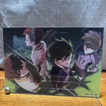 블루 록 비주얼 아크릴 플레이트