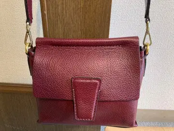 지아니카리니 숄더백