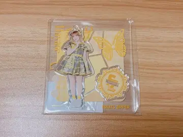 후르츠 지퍼 하야세 노엘 아크릴 스탠드 레이스업