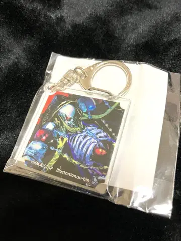 오버로드 아인즈 아크릴 키링 온라인 복권 제비뽑기당