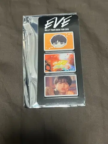 초특급 하르BULLET TRAIN ARENA TOUR EVE 키링