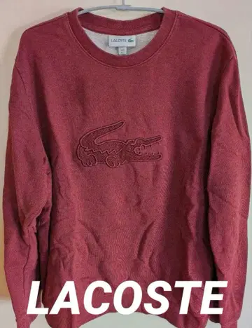 LACOSTE 라코스테 빅 악어 엠보싱 로고 스웨트 셔츠 남성용 L