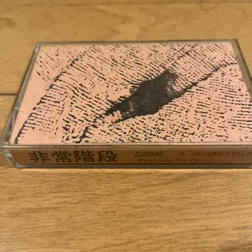 히조카이단 노이즈 밴드 카세트 테이프