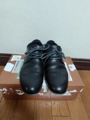 ARGIS 아이렛 깁슨 40