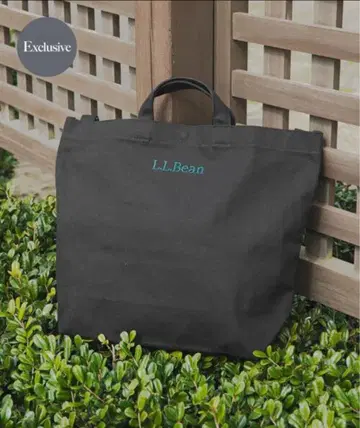 새상품 엘엘빈 x 도어즈 토트백 블랙