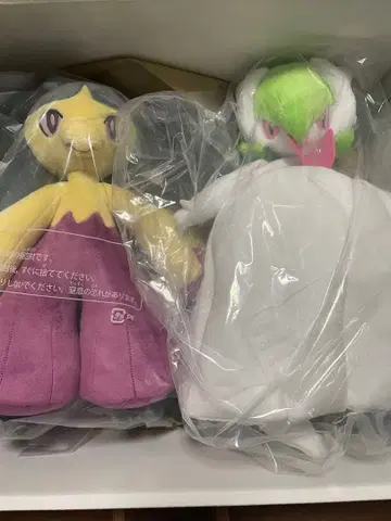 [ 새상품 종이 택 포함 ] 포켓몬 메가서나이트 메가쿠치트 봉제 인형