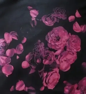 H&M 프린트 맨투맨 후디 블랙 빨간 장미