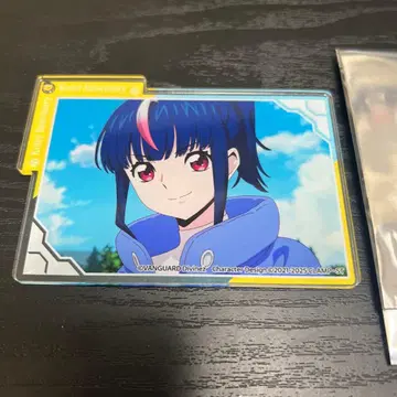 호시 에리카 아크릴 키링 뱅가드