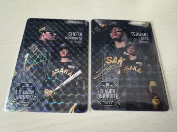 호랑이 타운 카드 모리시타, 사토