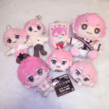 사토미 군 굿즈 모음