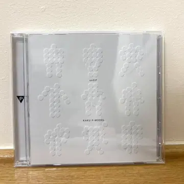 핵P-MODEL unZIP 히라사와 스스무