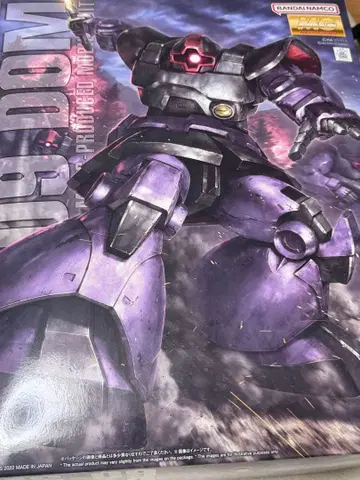 MG 1/100 돔 반다이 2022년 제조
