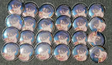 파라라이 survive 캔뱃지 이누카이 유토 24개